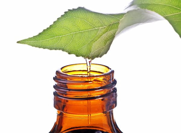 فروش گلنار فارسی برای صورت + قیمت خرید به صرفه